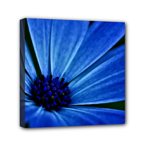 Flower Mini Canvas 6  X 6  (framed) by Siebenhuehner