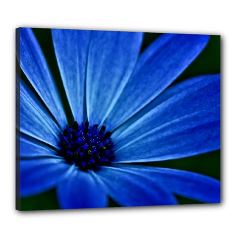 Flower Canvas 24  X 20  (framed)
