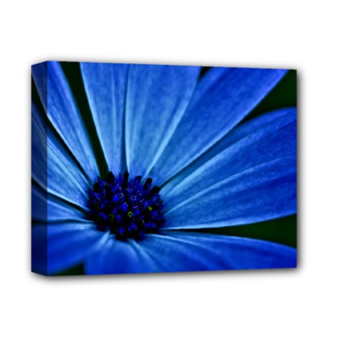 Flower Deluxe Canvas 14  X 11  (framed)