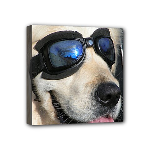 Cool Dog  Mini Canvas 4  X 4  (framed) by Siebenhuehner