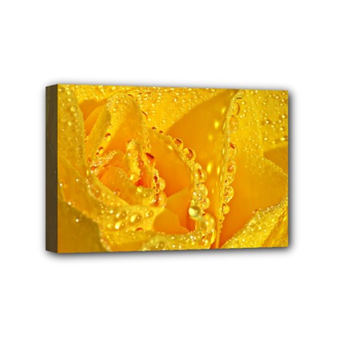 Waterdrops Mini Canvas 6  X 4  (framed) by Siebenhuehner