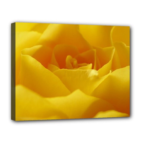 Yellow Rose Canvas 14  X 11  (framed) by Siebenhuehner