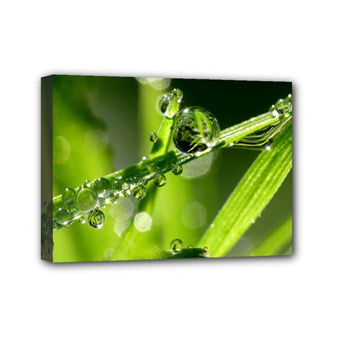 Waterdrops Mini Canvas 7  X 5  (framed) by Siebenhuehner