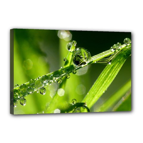 Waterdrops Canvas 18  X 12  (framed) by Siebenhuehner