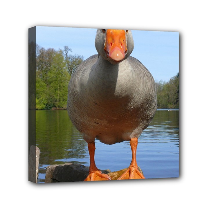 Geese Mini Canvas 6  x 6  (Framed)