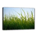 Grass Canvas 18  x 12  (Framed) View1