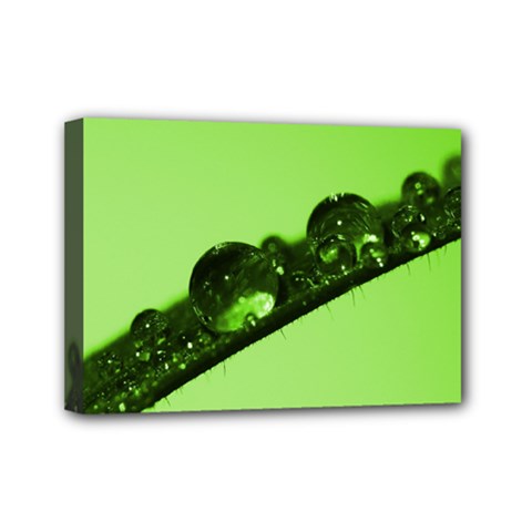 Green Drops Mini Canvas 7  X 5  (framed) by Siebenhuehner