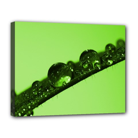 Green Drops Canvas 14  X 11  (framed) by Siebenhuehner