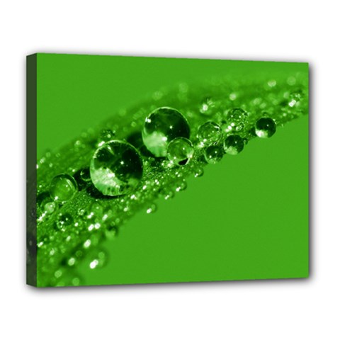 Green Drops Canvas 14  X 11  (framed) by Siebenhuehner