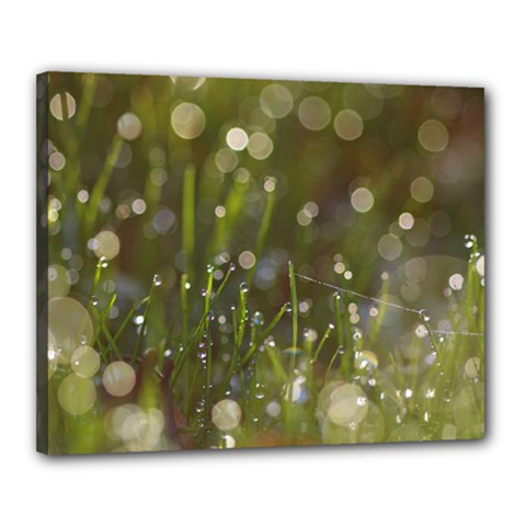 Waterdrops Canvas 20  X 16  (framed) by Siebenhuehner