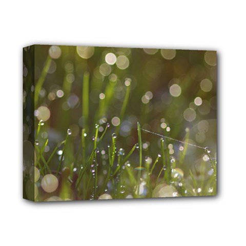 Waterdrops Deluxe Canvas 14  X 11  (framed) by Siebenhuehner