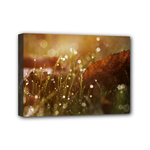 Waterdrops Mini Canvas 7  X 5  (framed) by Siebenhuehner