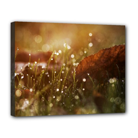 Waterdrops Canvas 14  X 11  (framed) by Siebenhuehner