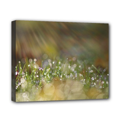 Sundrops Canvas 10  X 8  (framed) by Siebenhuehner