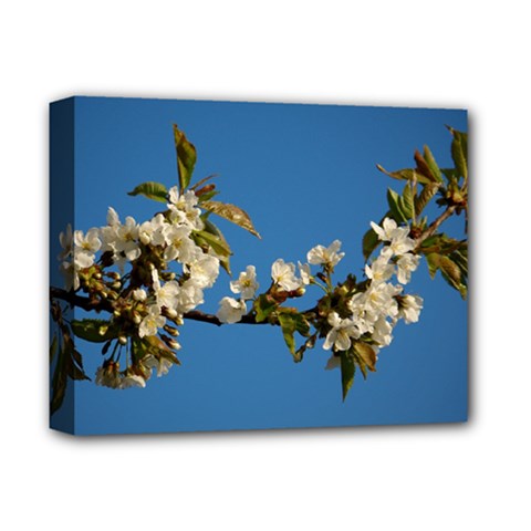 Cherry Blossom Deluxe Canvas 14  X 11  (framed) by Siebenhuehner