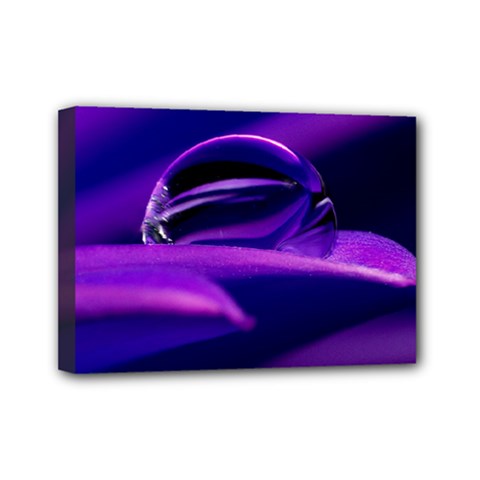 Waterdrop Mini Canvas 7  X 5  (framed) by Siebenhuehner