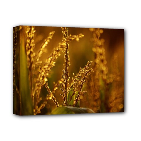 Field Deluxe Canvas 14  X 11  (framed) by Siebenhuehner