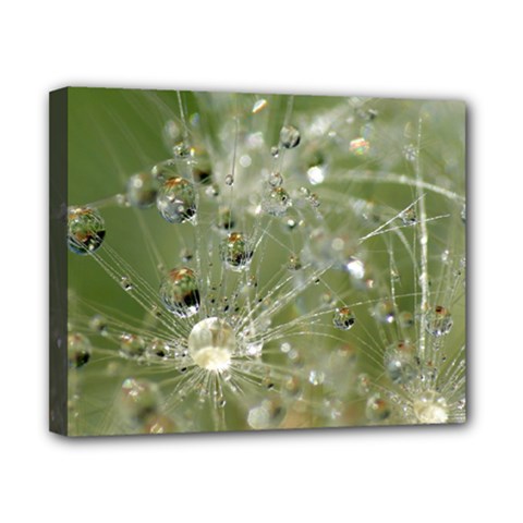 Dandelion Canvas 10  X 8  (framed) by Siebenhuehner