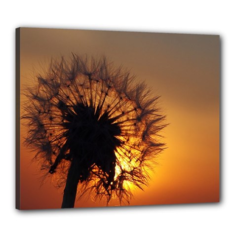 Dandelion Canvas 24  x 20  (Framed)