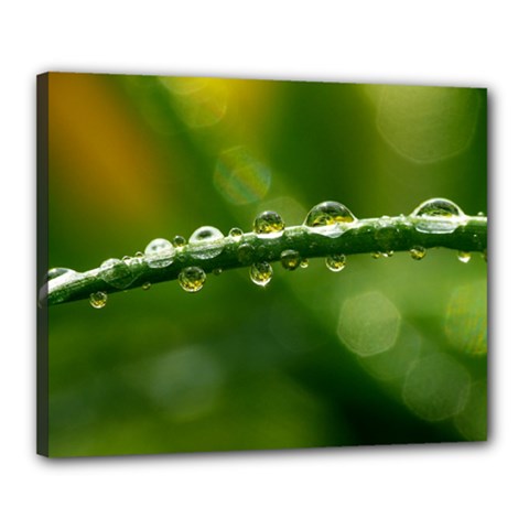 Waterdrops Canvas 20  x 16  (Framed)