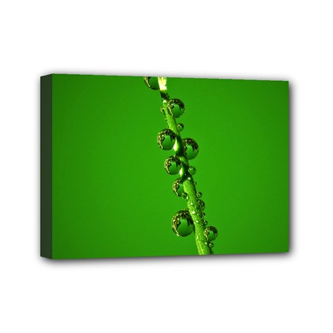 Waterdrops Mini Canvas 7  X 5  (framed) by Siebenhuehner