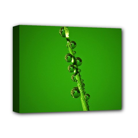 Waterdrops Deluxe Canvas 14  X 11  (framed) by Siebenhuehner