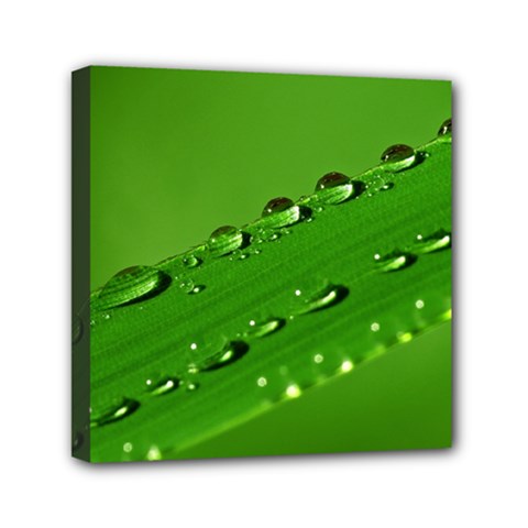 Waterdrops Mini Canvas 6  X 6  (framed) by Siebenhuehner