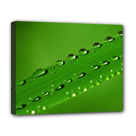 Waterdrops Deluxe Canvas 20  X 16  (framed) by Siebenhuehner