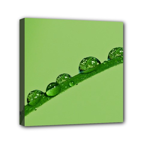 Waterdrops Mini Canvas 6  X 6  (framed) by Siebenhuehner