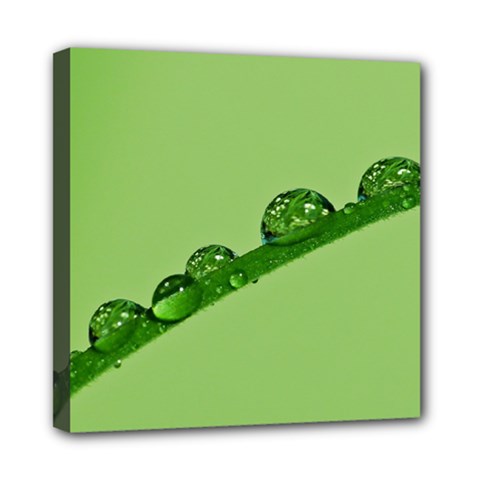 Waterdrops Mini Canvas 8  X 8  (framed) by Siebenhuehner