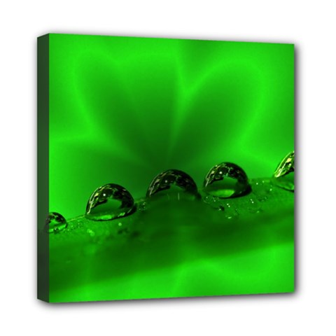 Drops Mini Canvas 8  X 8  (framed) by Siebenhuehner