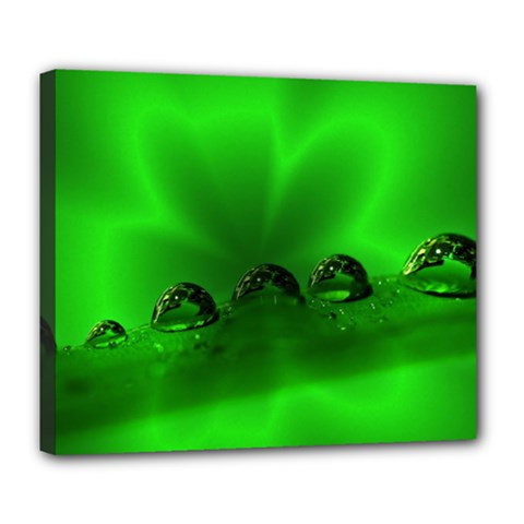 Drops Deluxe Canvas 24  X 20  (framed) by Siebenhuehner