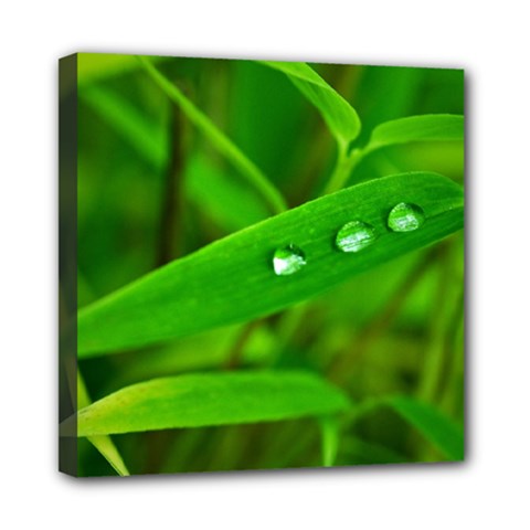 Bamboo Leaf With Drops Mini Canvas 8  X 8  (framed) by Siebenhuehner