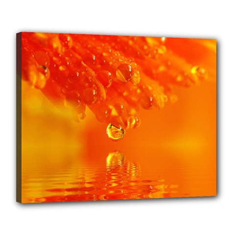 Waterdrops Canvas 20  X 16  (framed) by Siebenhuehner