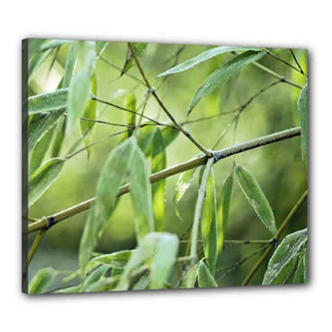 Bamboo Canvas 24  X 20  (framed) by Siebenhuehner