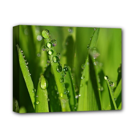 Grass Drops Deluxe Canvas 14  X 11  (framed) by Siebenhuehner