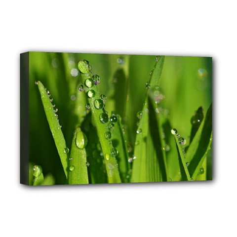 Grass Drops Deluxe Canvas 18  X 12  (framed) by Siebenhuehner