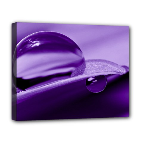 Drops Deluxe Canvas 20  X 16  (framed) by Siebenhuehner