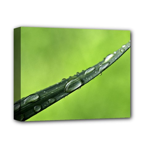 Green Drops Deluxe Canvas 14  X 11  (framed) by Siebenhuehner