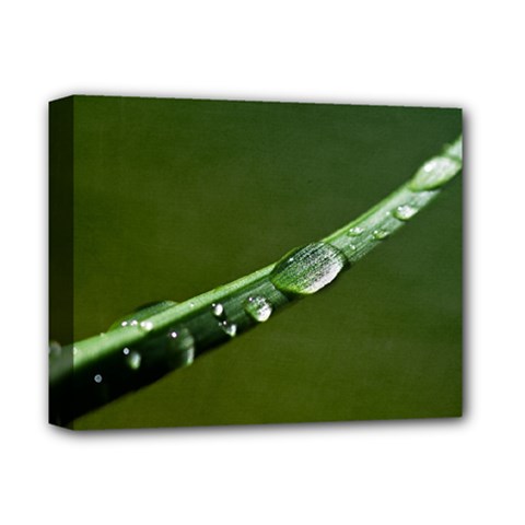 Grass Drops Deluxe Canvas 14  X 11  (framed) by Siebenhuehner