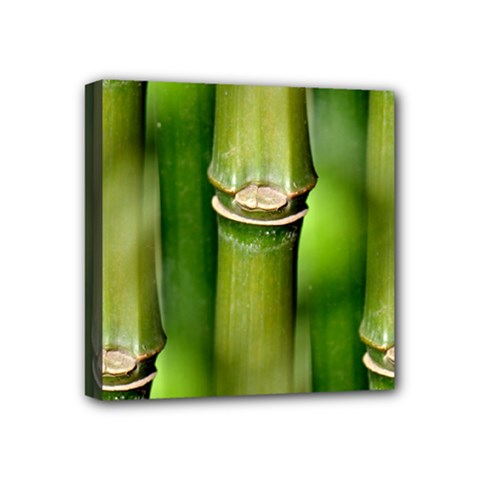 Bamboo Mini Canvas 4  X 4  (framed)