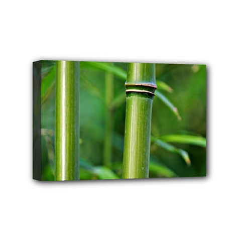 Bamboo Mini Canvas 6  X 4  (framed) by Siebenhuehner