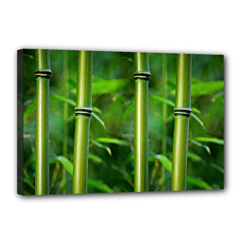 Bamboo Canvas 18  X 12  (framed) by Siebenhuehner