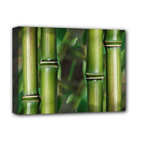Bamboo Deluxe Canvas 16  X 12  (framed)  by Siebenhuehner