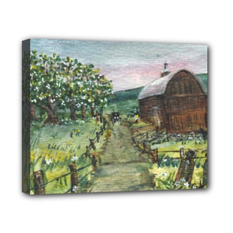  amish Apple Blossoms  By Ave Hurley Of Artrevu   Canvas 10  X 8  (stretched) by ArtRave2