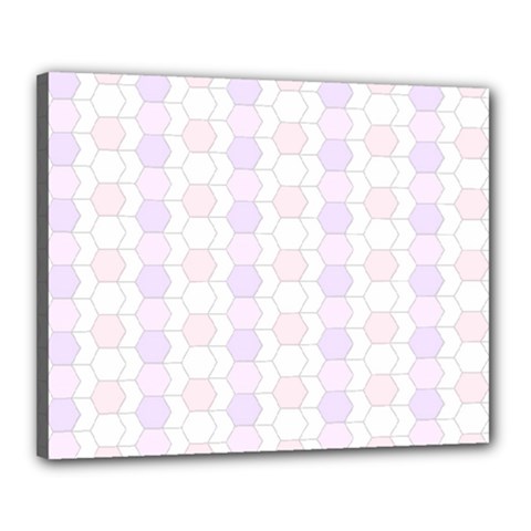 Allover Graphic Soft Pink Canvas 20  X 16  (framed) by ImpressiveMoments