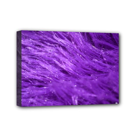 Purple Tresses Mini Canvas 7  X 5  (framed) by FunWithFibro