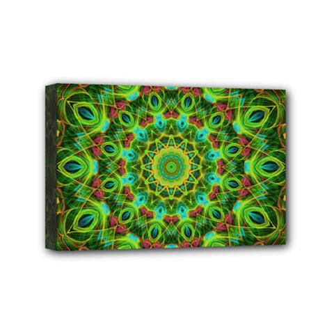 Peacock Feathers Mandala Mini Canvas 6  X 4  (framed) by Zandiepants