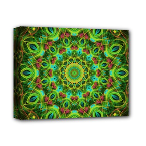 Peacock Feathers Mandala Deluxe Canvas 14  X 11  (framed) by Zandiepants