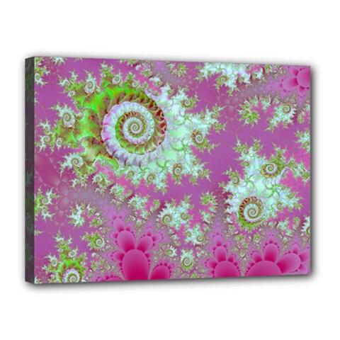 Raspberry Lime Surprise, Abstract Sea Garden  Canvas 16  X 12  (framed) by DianeClancy